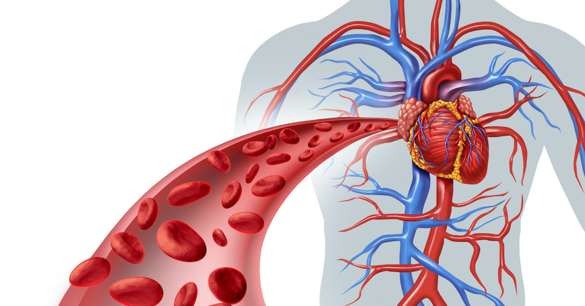 Boost Circulation & Blood Flow